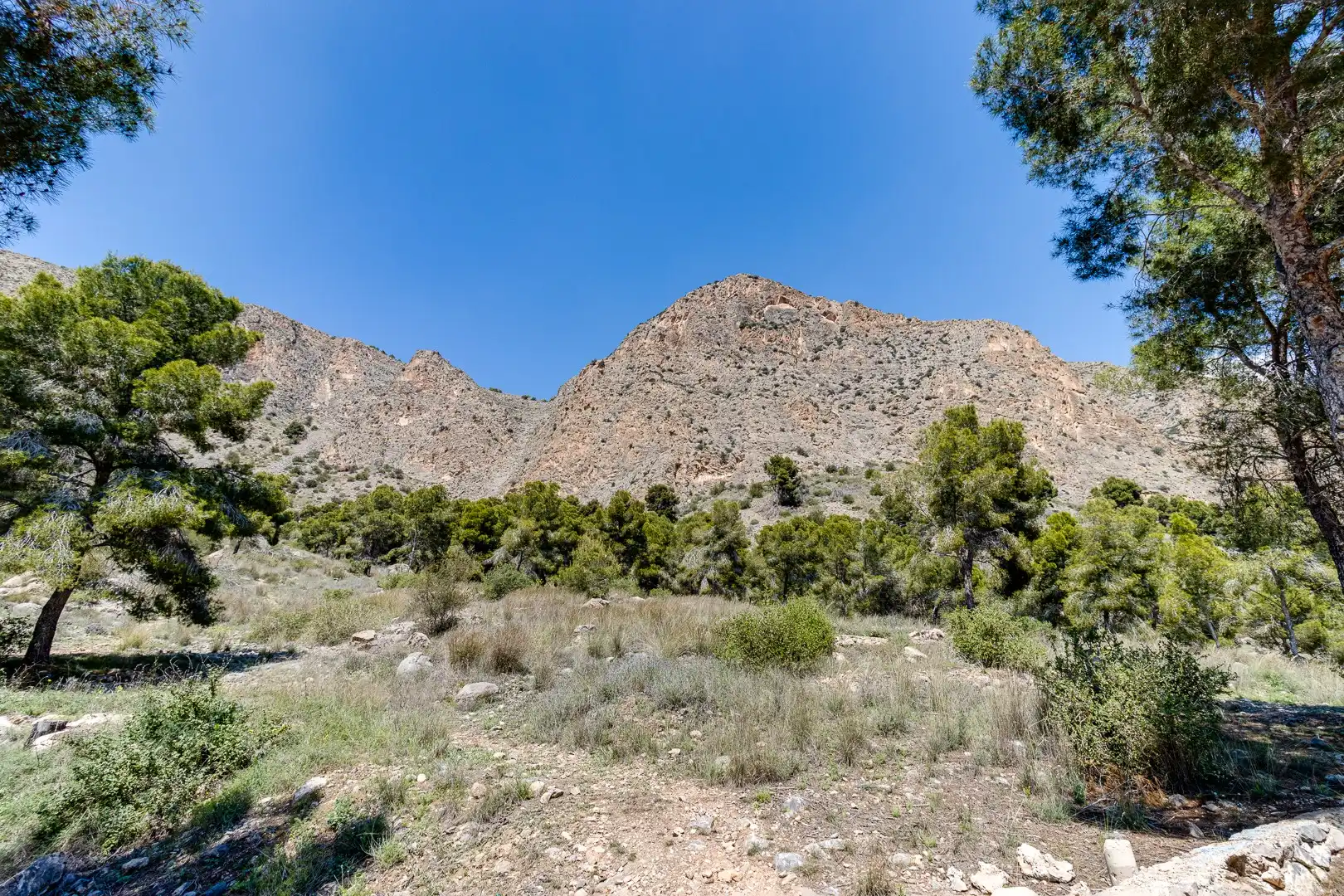 Casa o xalet en venda a Orihuela ciudad