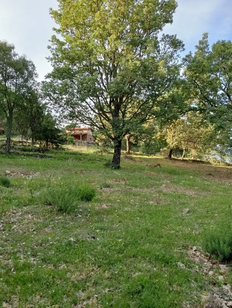 Terreno en venta en Villanueva de la Vera