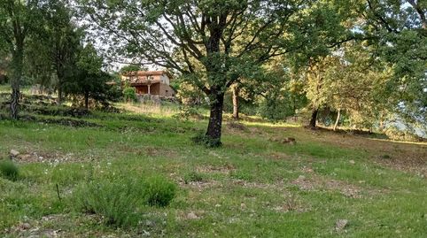 Photo 5 of Land for sale in Ex-203, Villanueva de la Vera, Cáceres