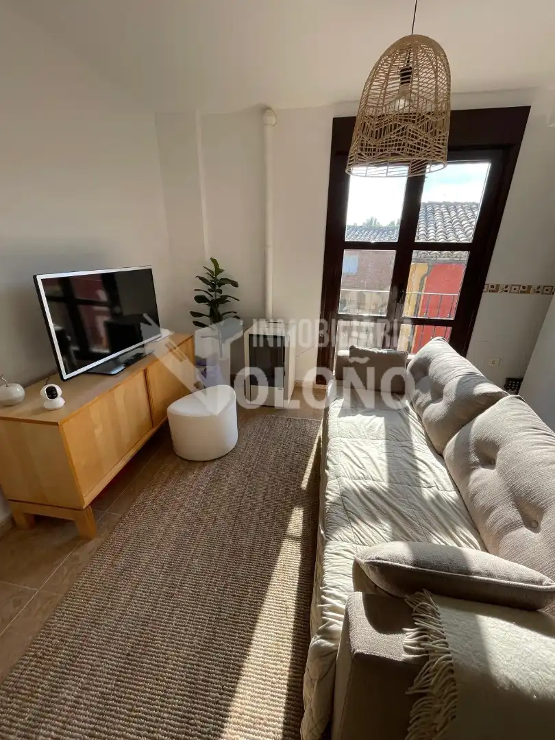 Sala d'estar de Apartament en venda en Casalarreina amb Calefacció, Parquet i Moblat