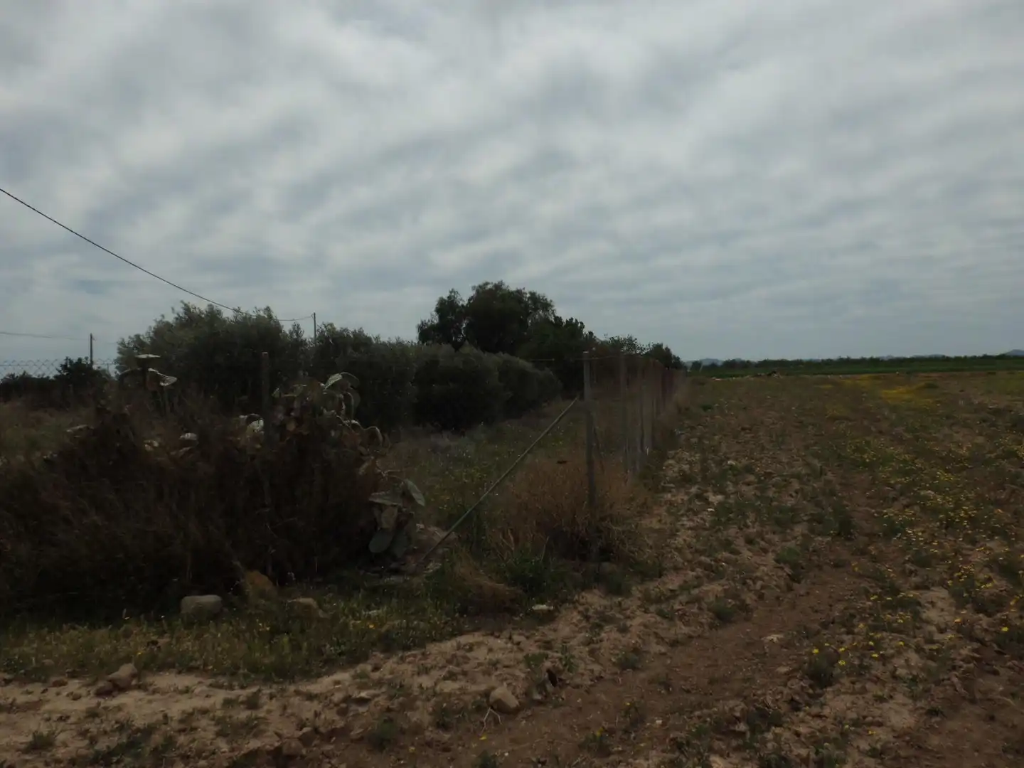 Residential zur Miete in Murcia