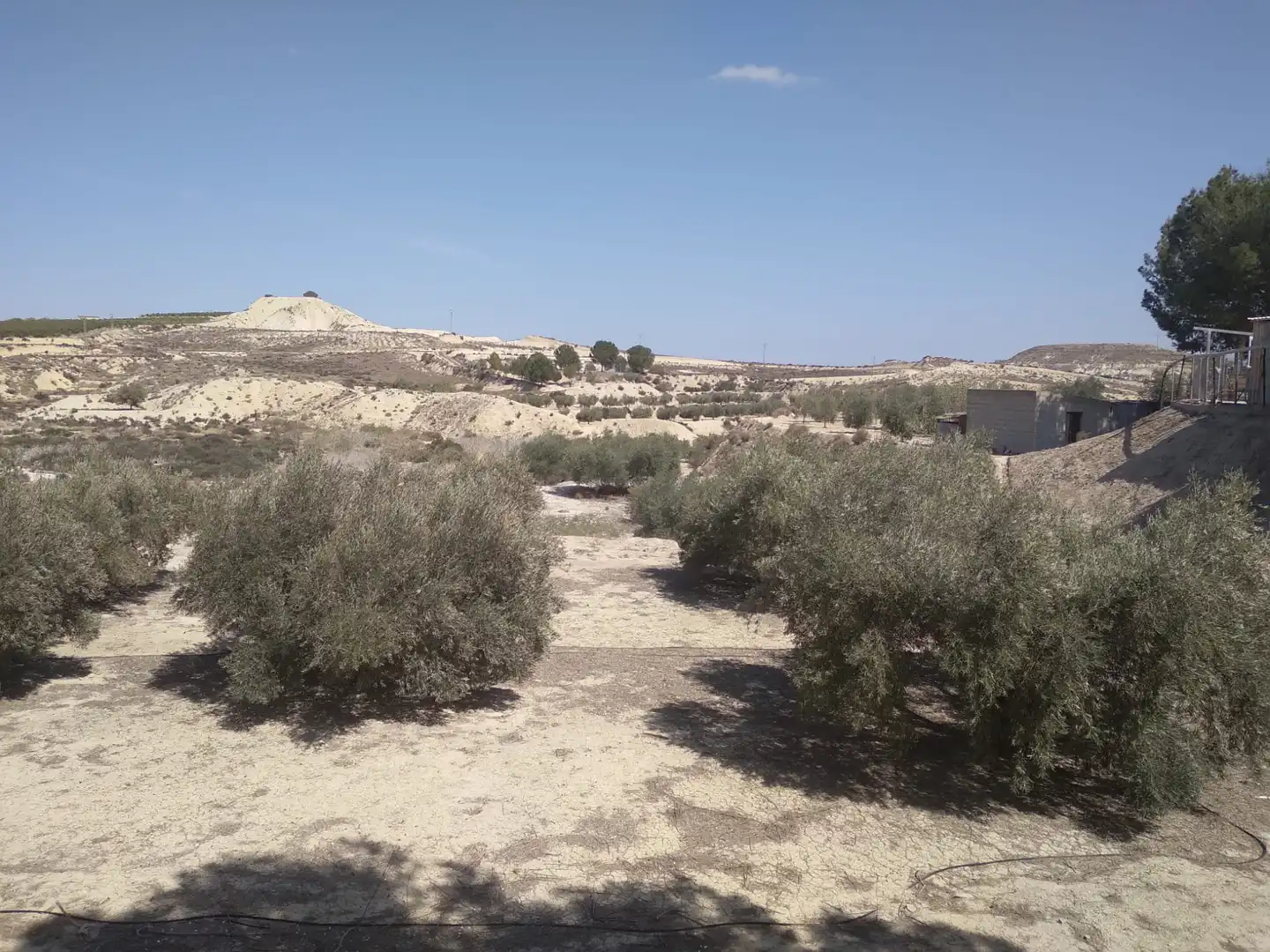Terreni e lotti in vendita a Campos del Río, imagen 7