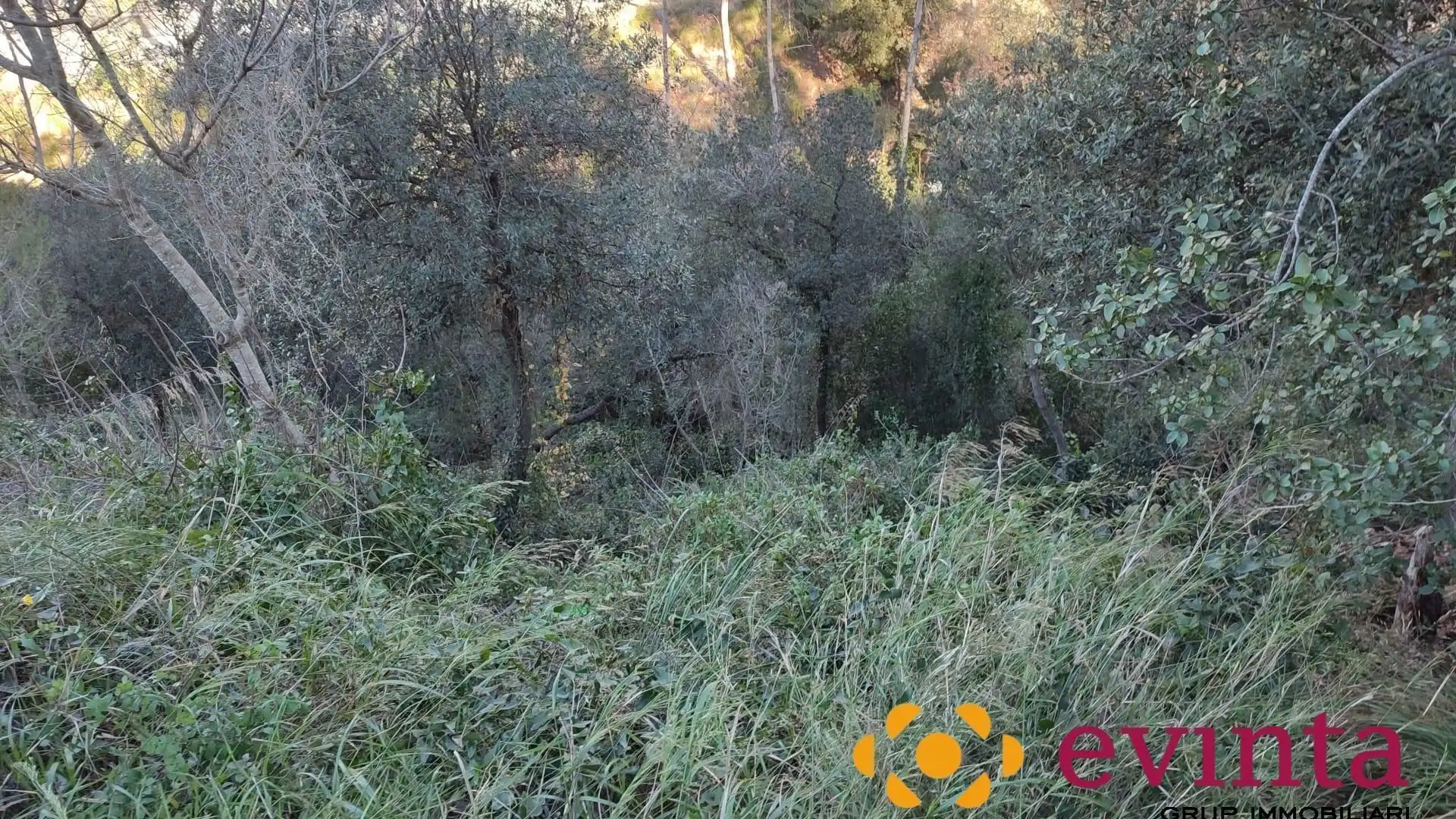 Lands and plots for sale in Vallirana, imagen 10