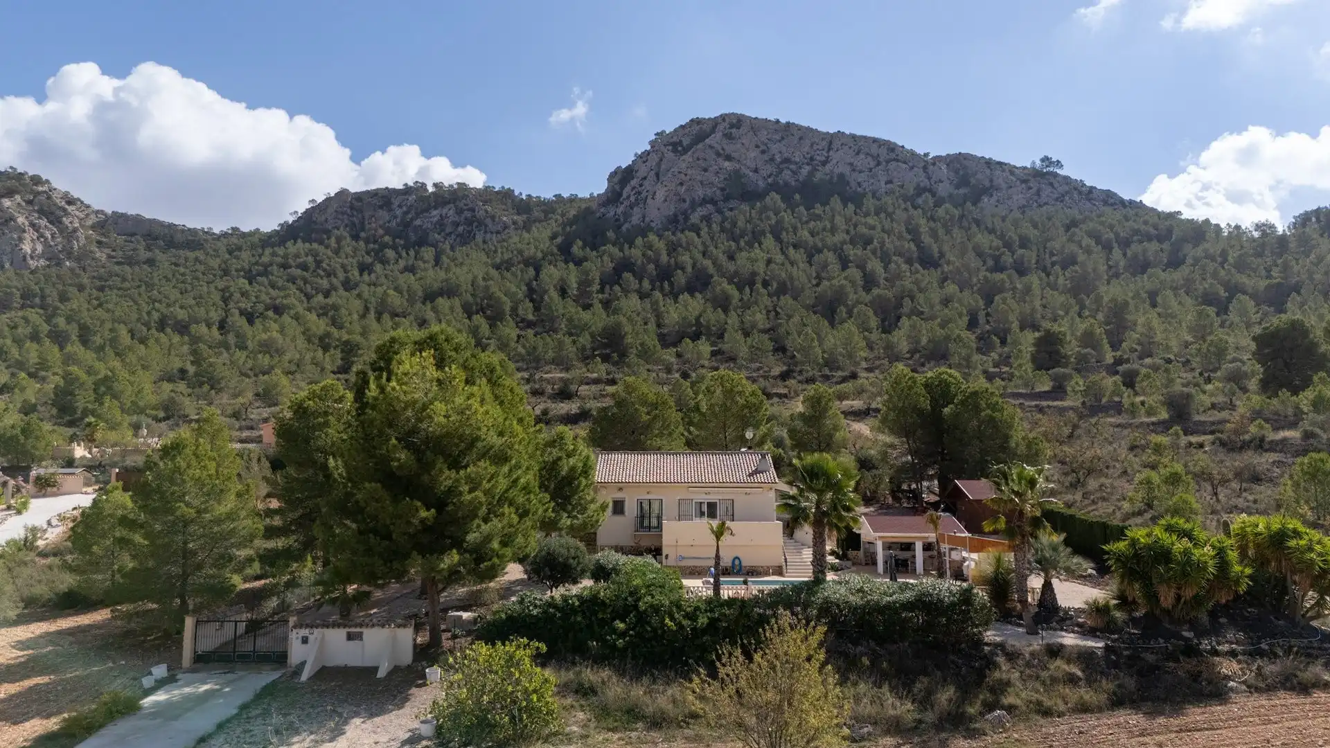 Vista exterior de Casa o chalet en venta en Jumilla con Jardín privado, Terraza y Trastero