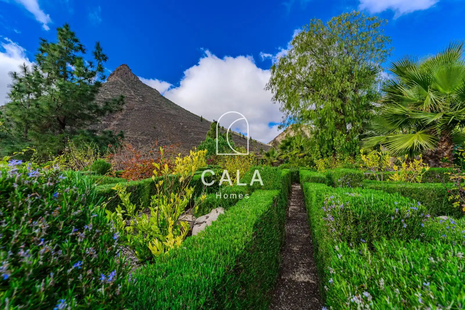 Detached house with terrace for sale in del Hoyo, imagen 60