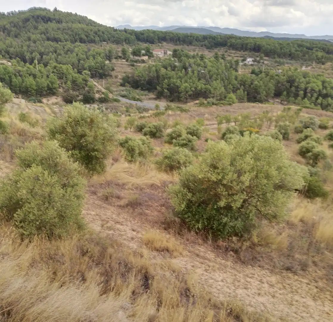 Terreno rustico in vendita a Carrer Onze de Setembre 21, imagen 4