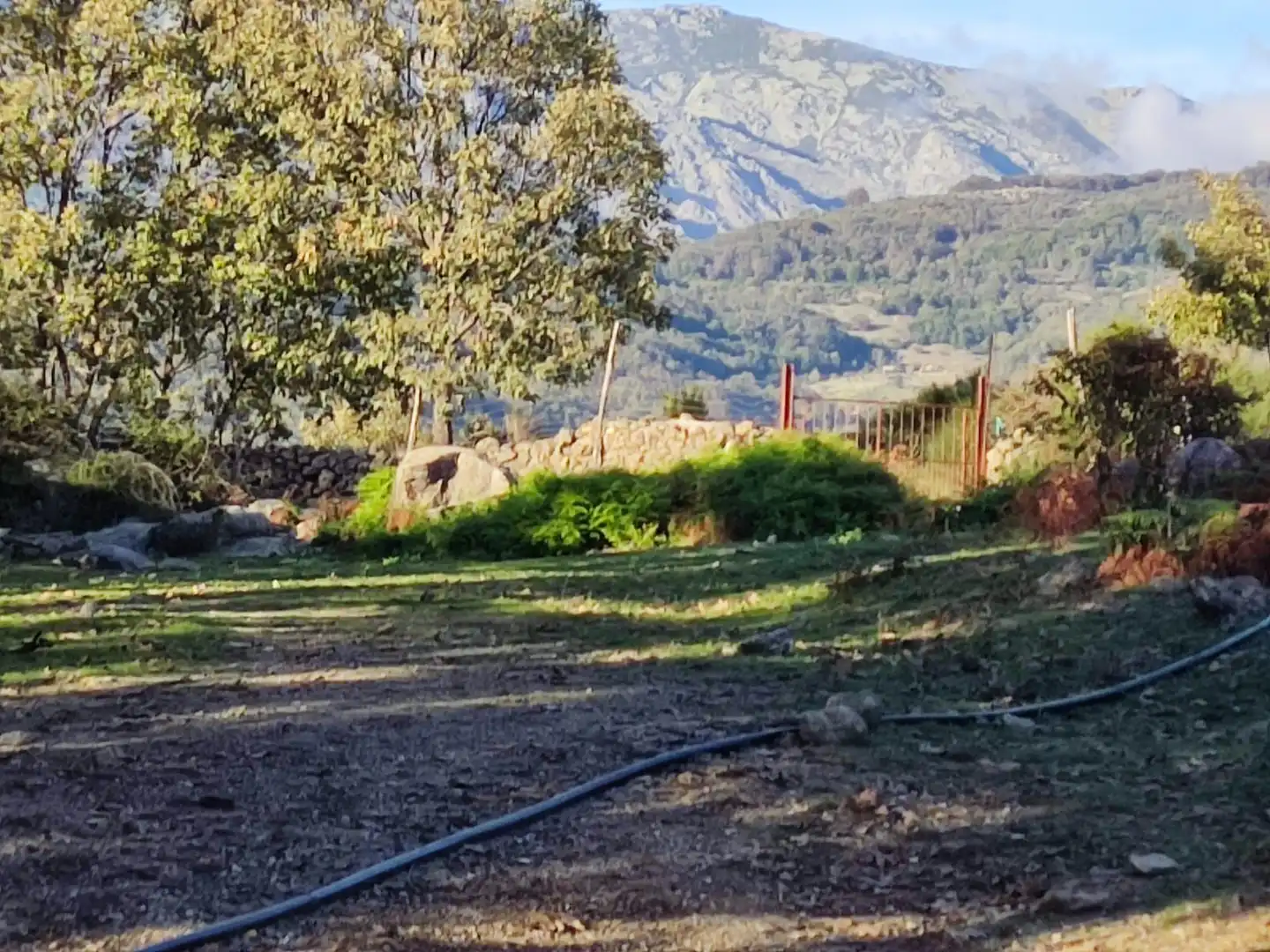 Terreni e lotti in vendita a Jarandilla de la Vera, imagen 29