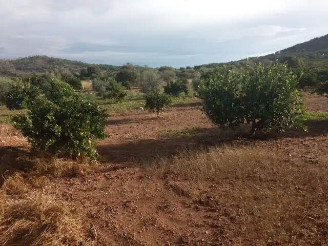 Terrenys i solars en venda a Estivella, imagen 3