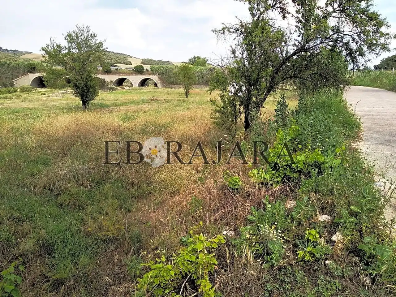 Rural land for sale in Santa Paula, imagen 12