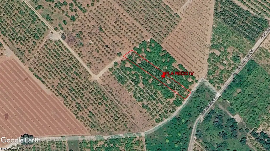 Terreny rústic en venda a Les Alqueries / Alquerías del Niño Perdido