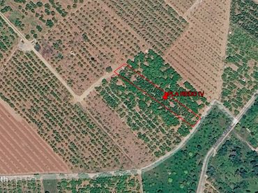Terreny rústic en venda a Les Alqueries / Alquerías del Niño Perdido