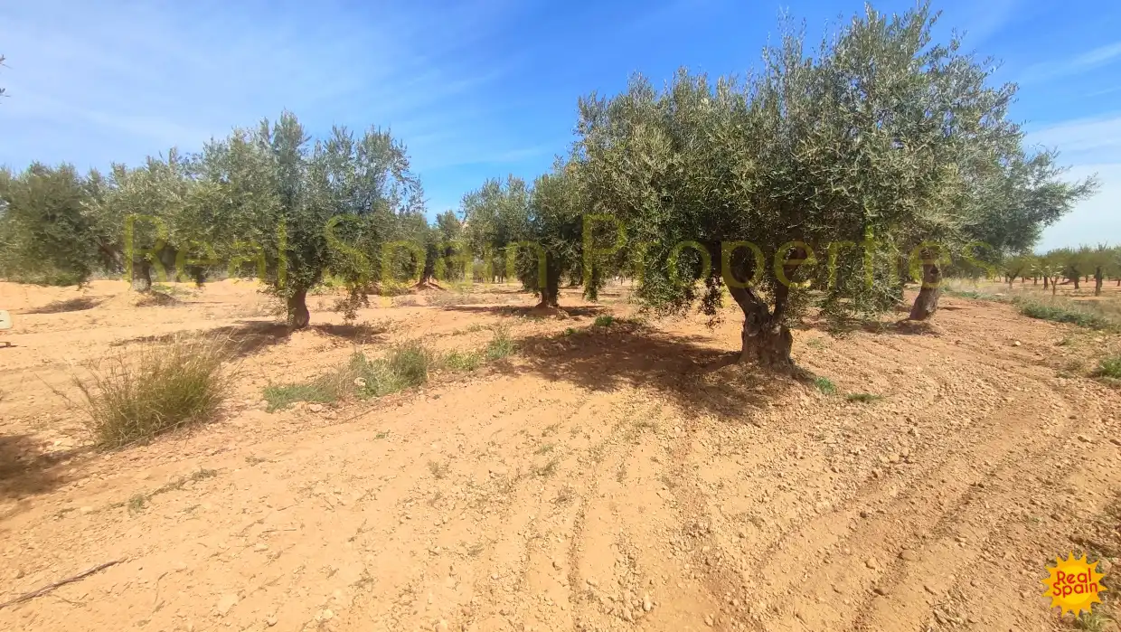 Residential land for sale in Vélez-Rubio, imagen 9