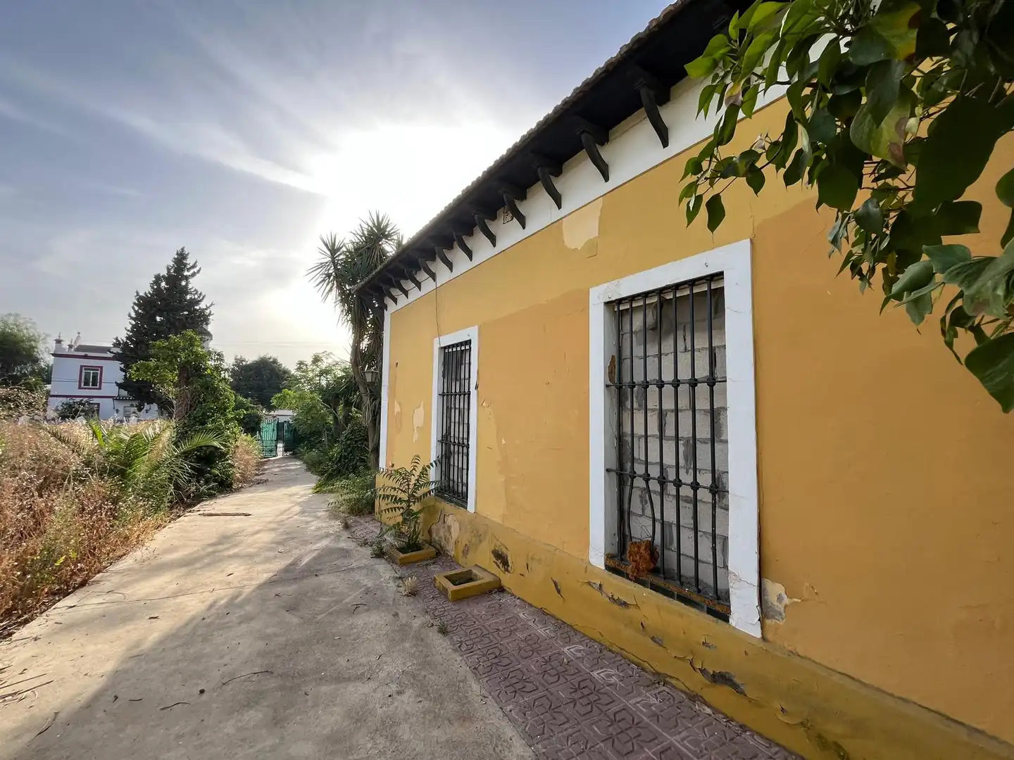Vista exterior de Casa o chalet en venta en Dos Hermanas con Piscina