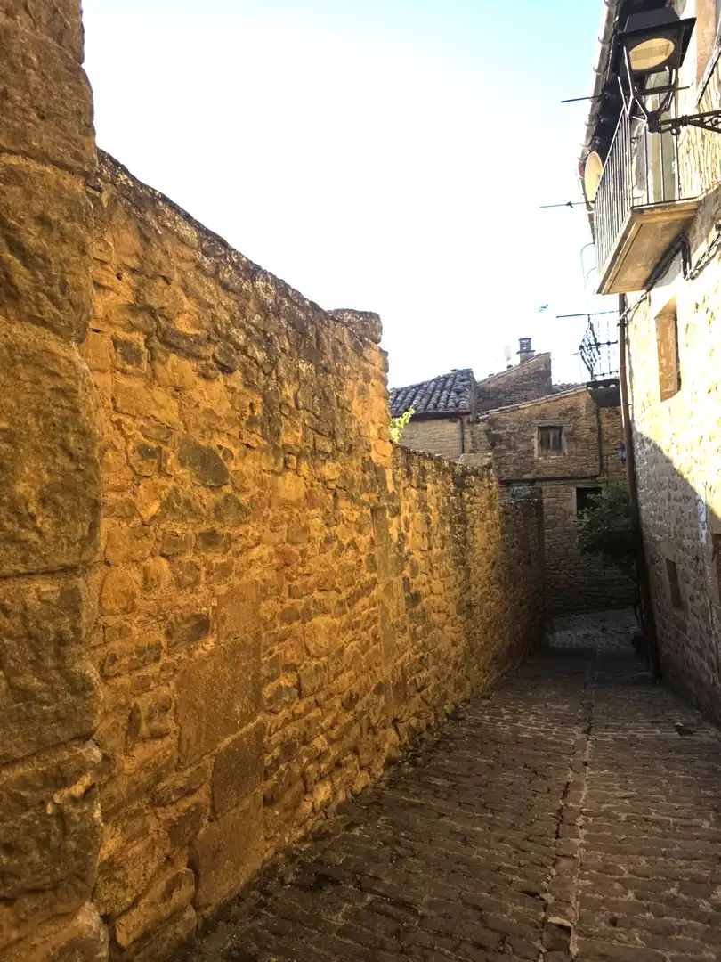 Vista exterior de Terreno en venta en Ujué / Uxue