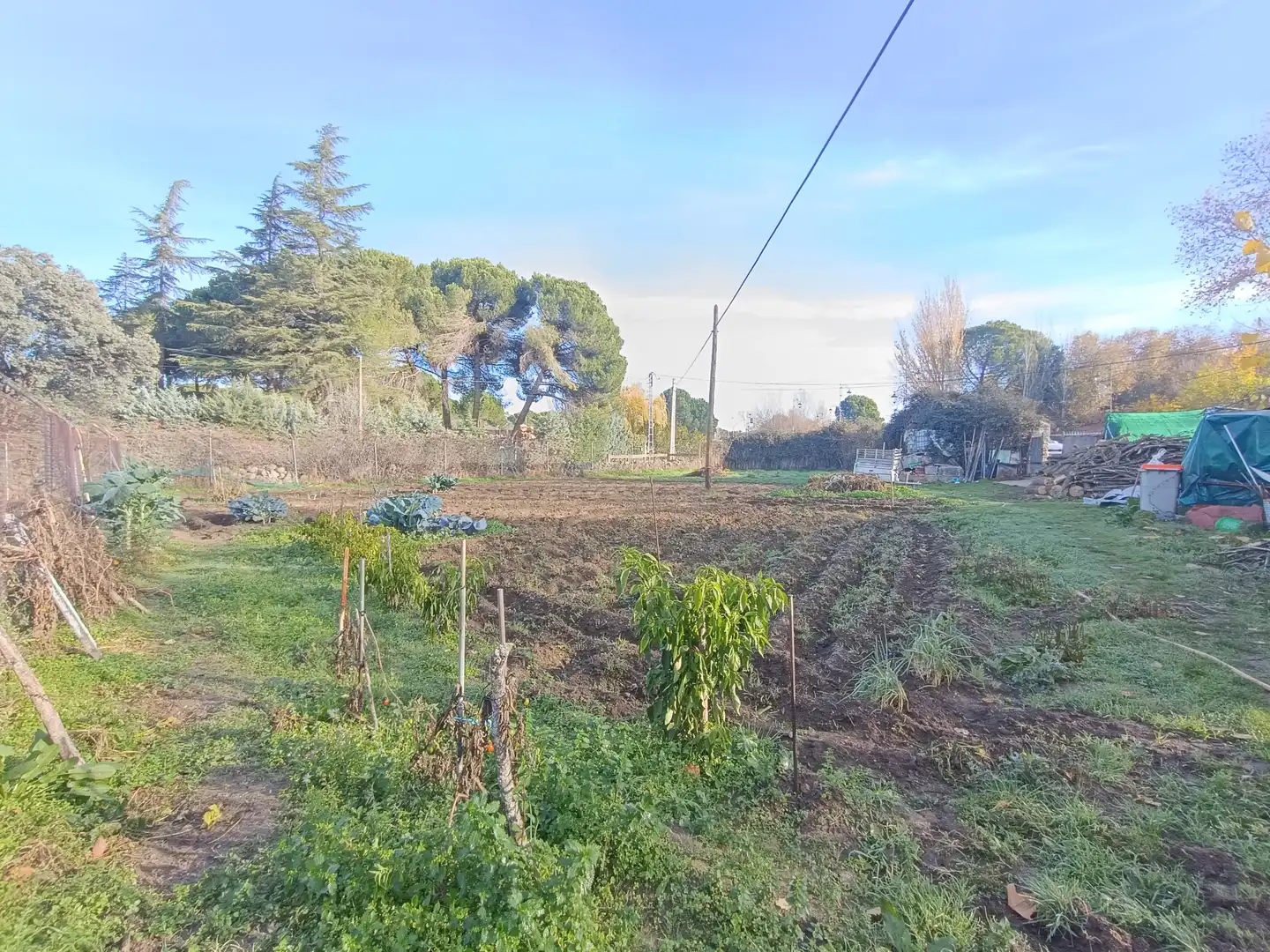 Wohnbaugrundstück zum Verkauf in Colmenar del Arroyo, imagen 4