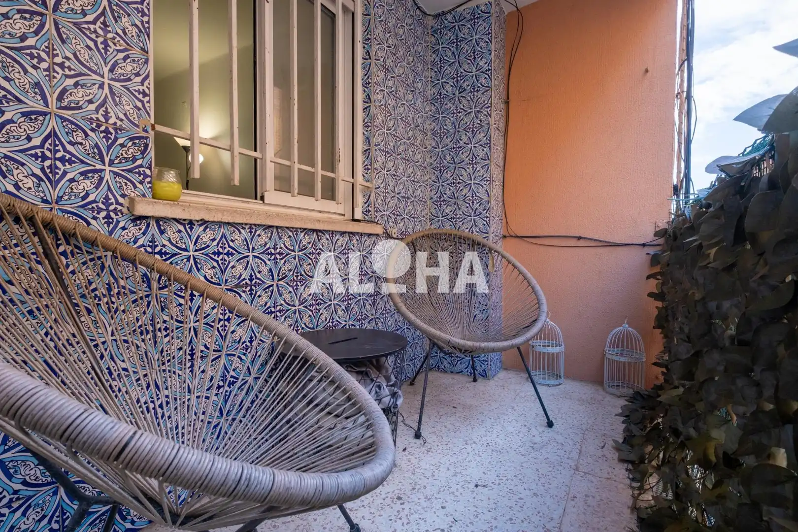 Terrasse von Wohnung zur Miete in Zona Concordia
