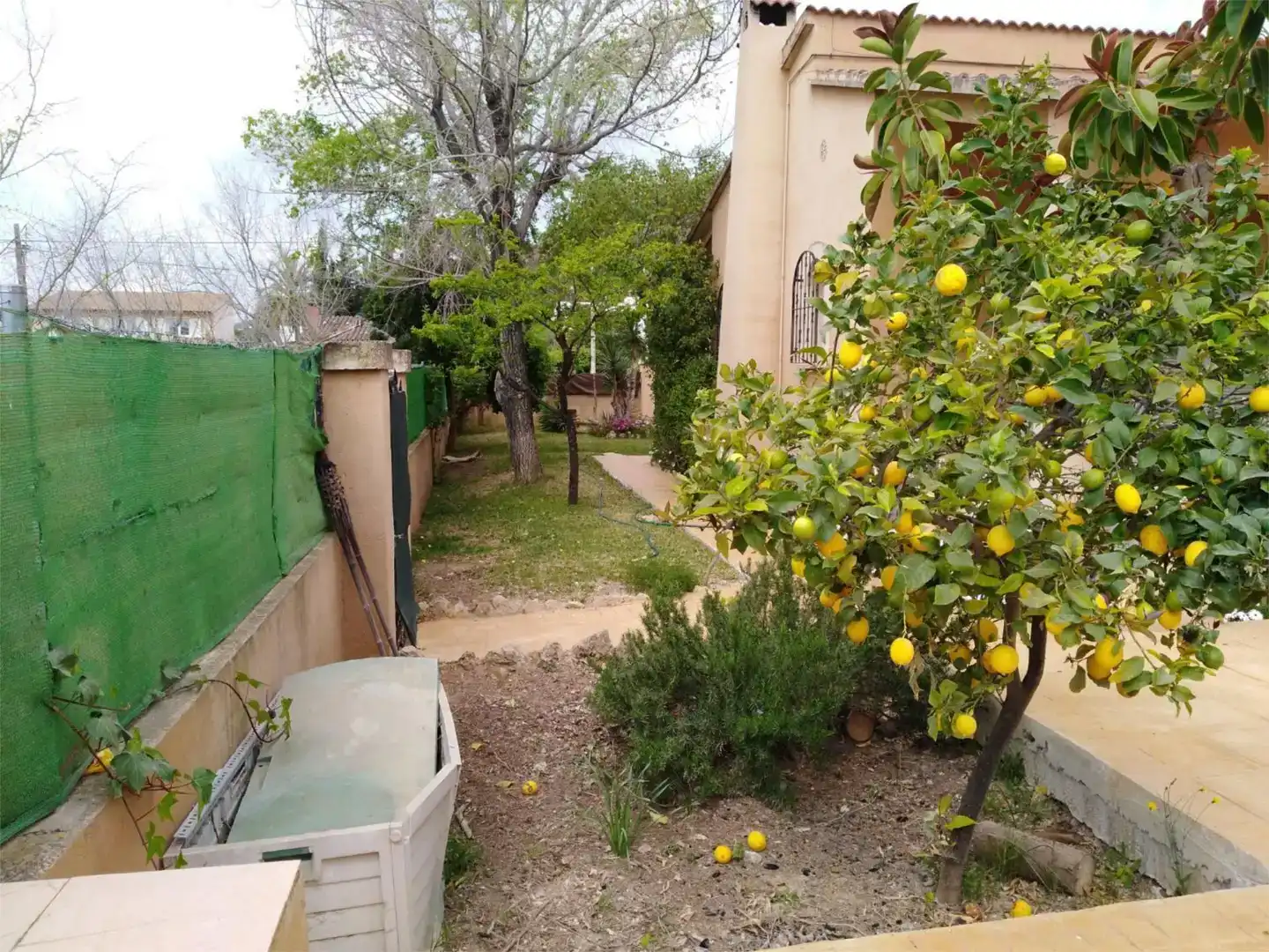 Garden of Flat for rent in Bunyola  with Air Conditioner, Private garden and Swimming Pool