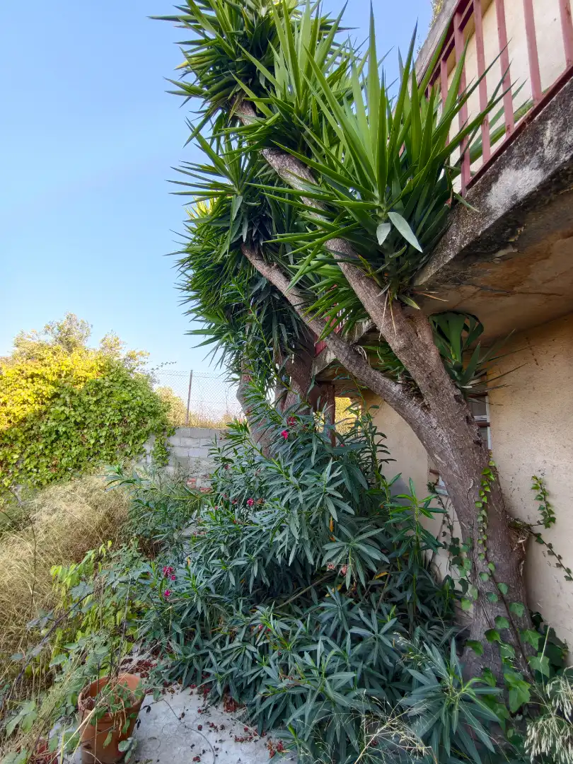 Villa avec terrasse à vendre à Urbanización Mullo de Crusa 52, imagen 18