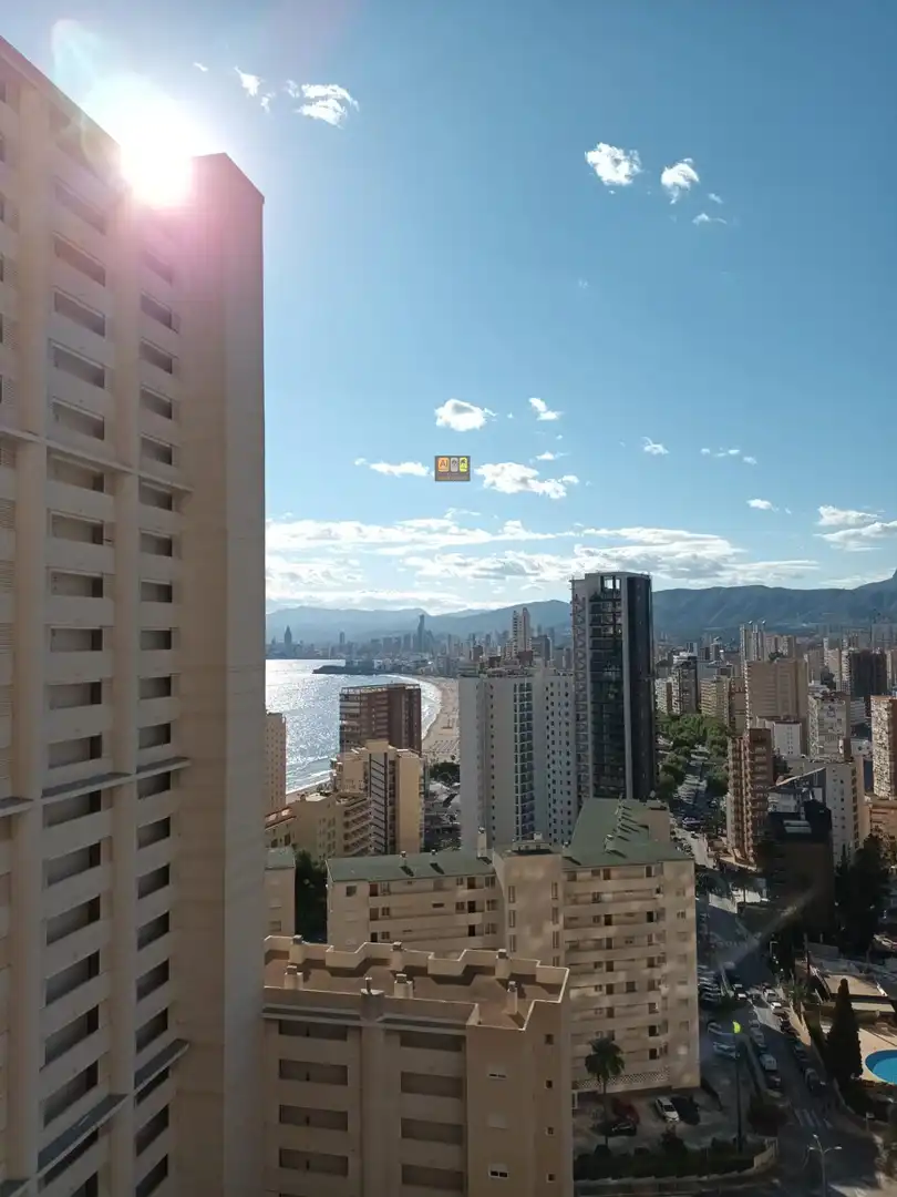 Exterior view of Apartments for rent in Benidorm  with Private garden, Terrace and Furnished