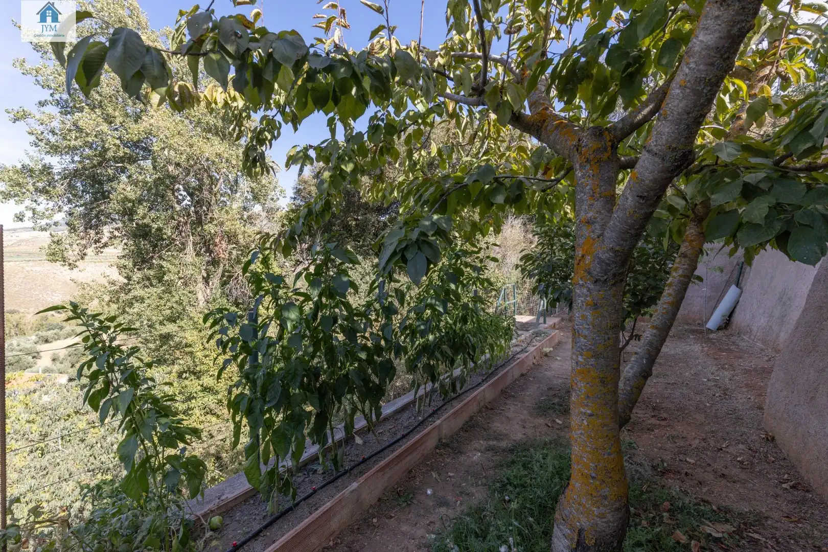 Jardín de Casa o chalet en venta en Dílar con Aire acondicionado, Calefacción y Jardín privado