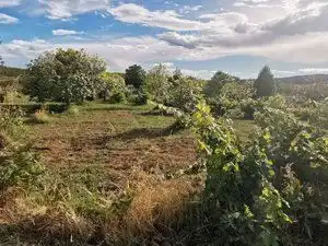 Terreni e lotti in vendita a Jarandilla de la Vera, imagen 7