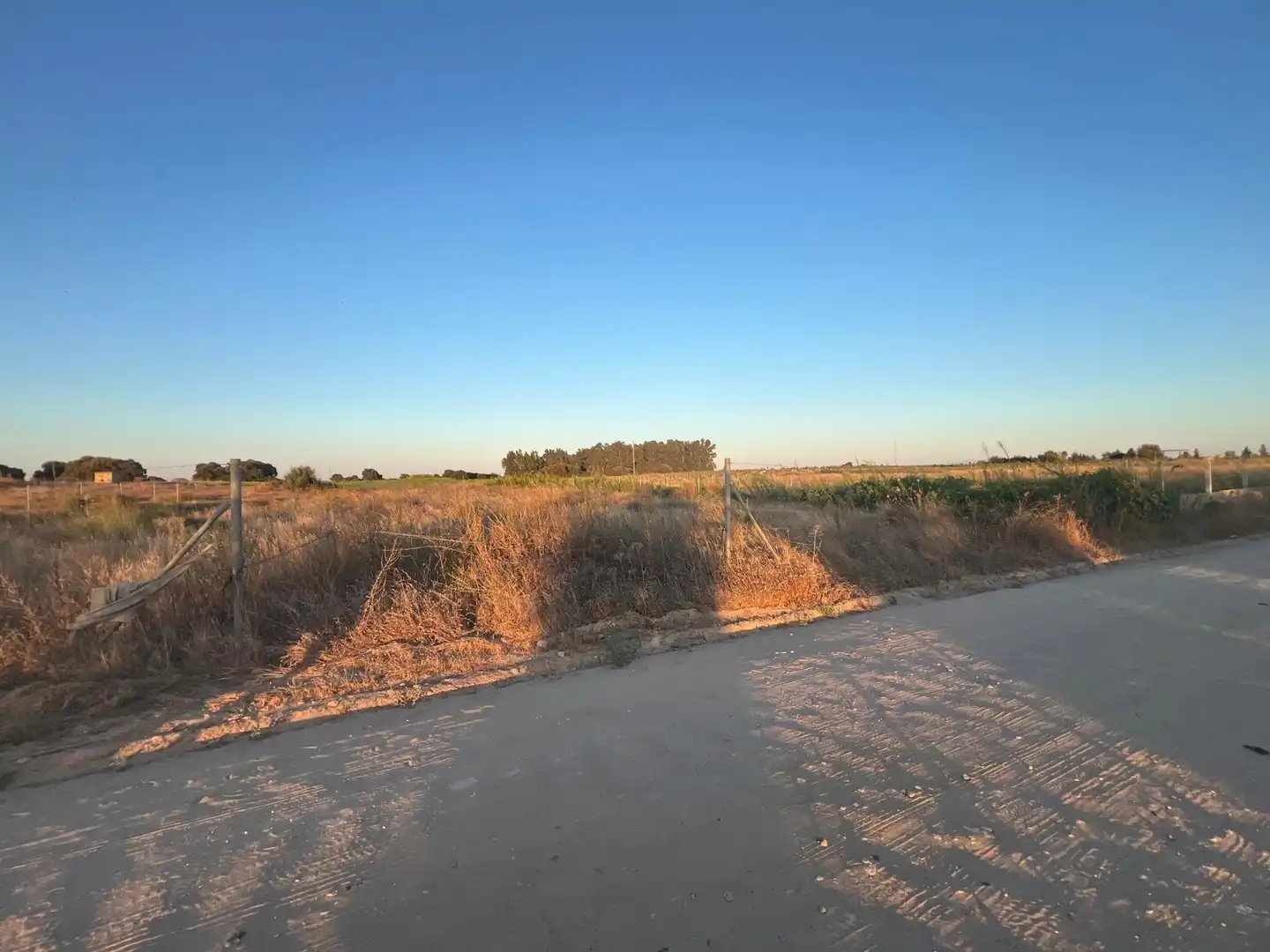 Terreny rústic en venda a Pedanías Norte