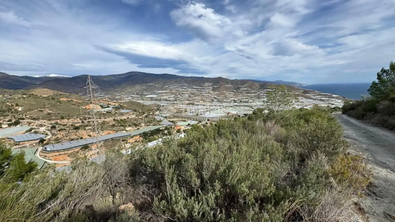 Vista exterior de Terreno en venta en Gualchos