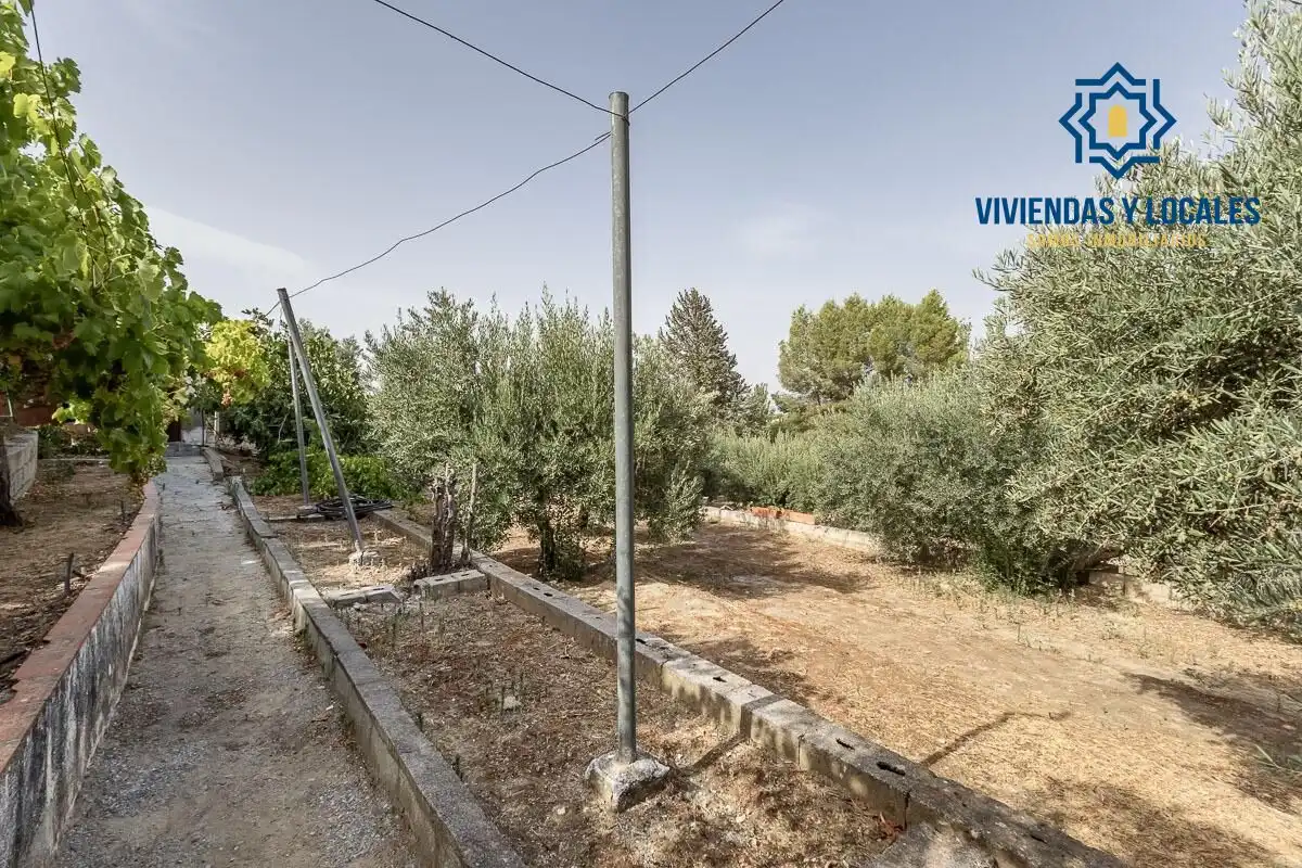Xalet amb piscina en venda a Aljomahima - Ermita, imagen 13