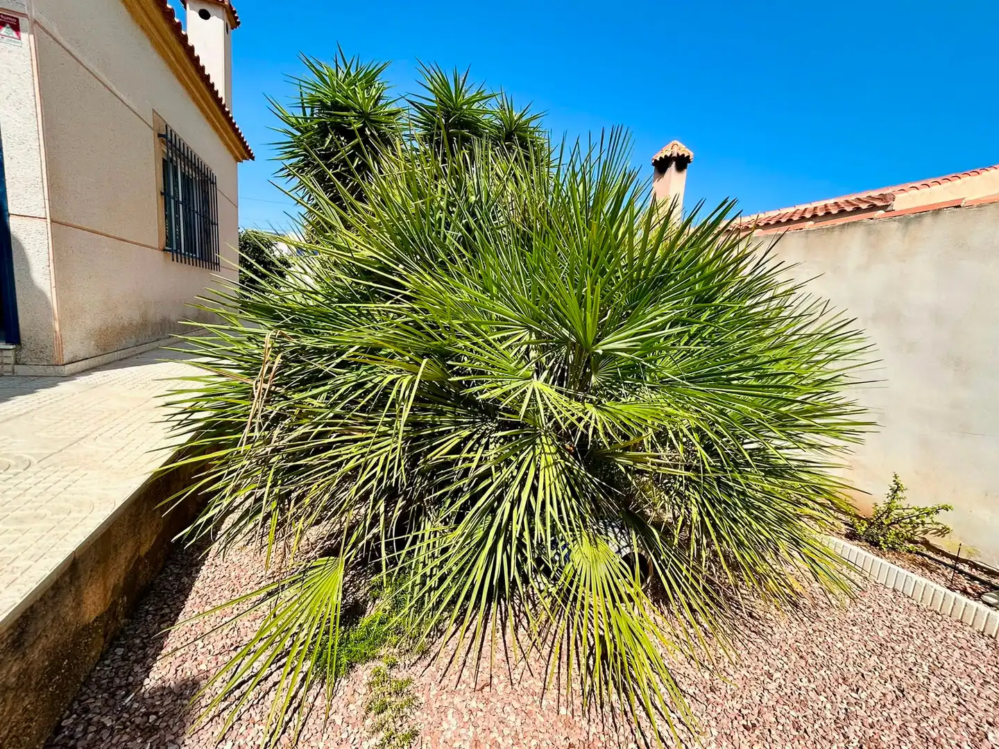 Vista exterior de Casa o xalet en venda en Torrevieja
