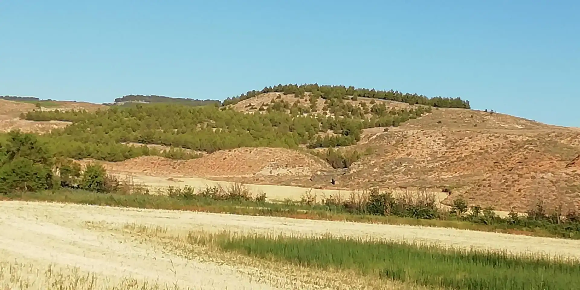 Land for sale in La Peraleja  