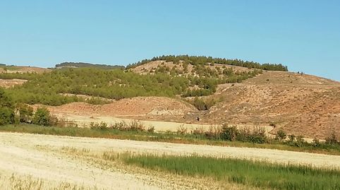 Photo 3 of Land for sale in Carretera Huete, La Peraleja , Cuenca