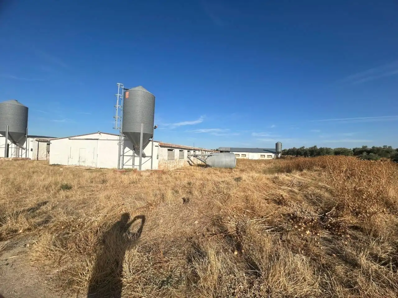 Nave industrial en venta en Polán