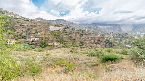 Parcela Rústica en Torrox, immagine 4
