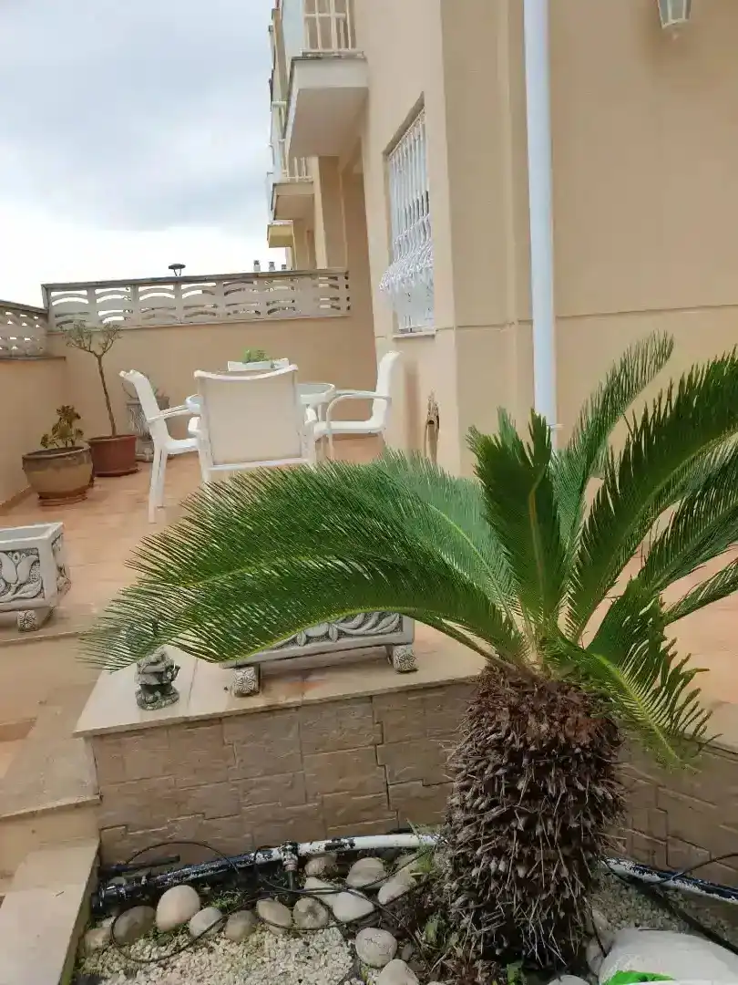 Terraza de Casa adosada de alquiler en Càlig con Jardín privado, Terraza y Amueblado