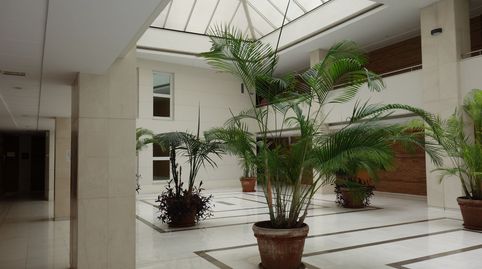 Foto 4 de Oficina de alquiler en De Salobreña, Motril ciudad, Motril