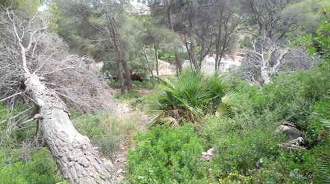 Foto 5 de Terreno en venta en Calle Tulipa, Costa Cunit - Els Jardins - Els Rosers, Cunit