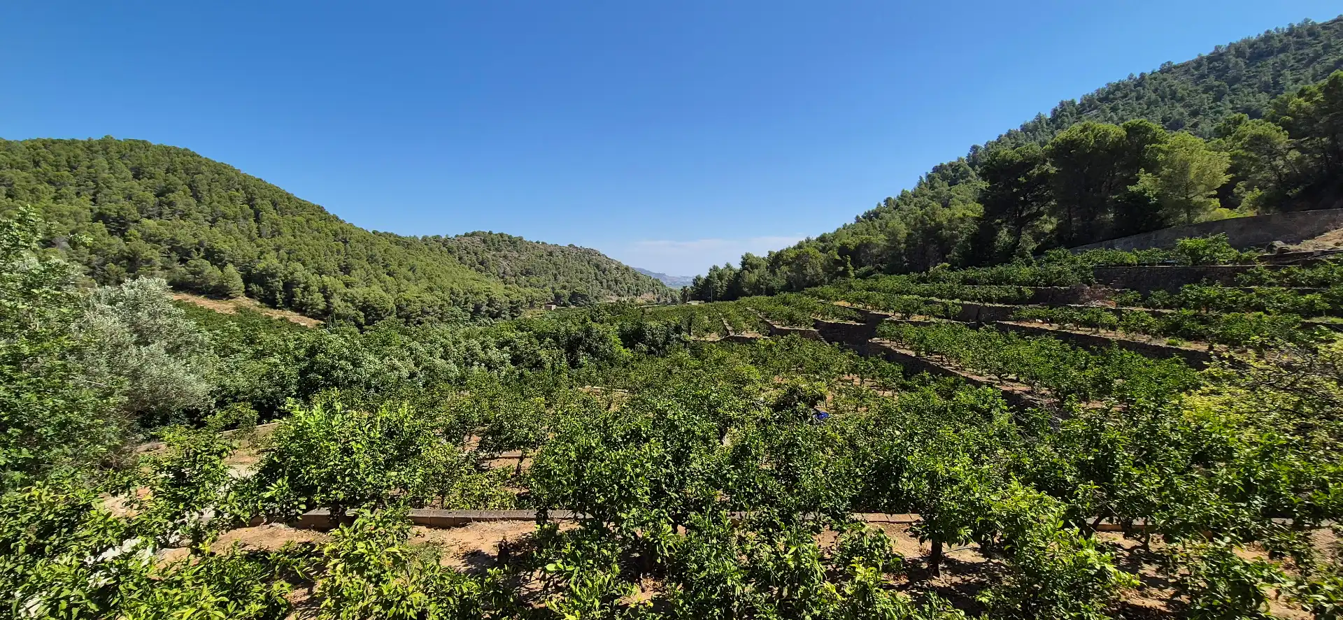 Jardín de Finca rústica en venta en Favara con Calefacción, Jardín privado y Terraza
