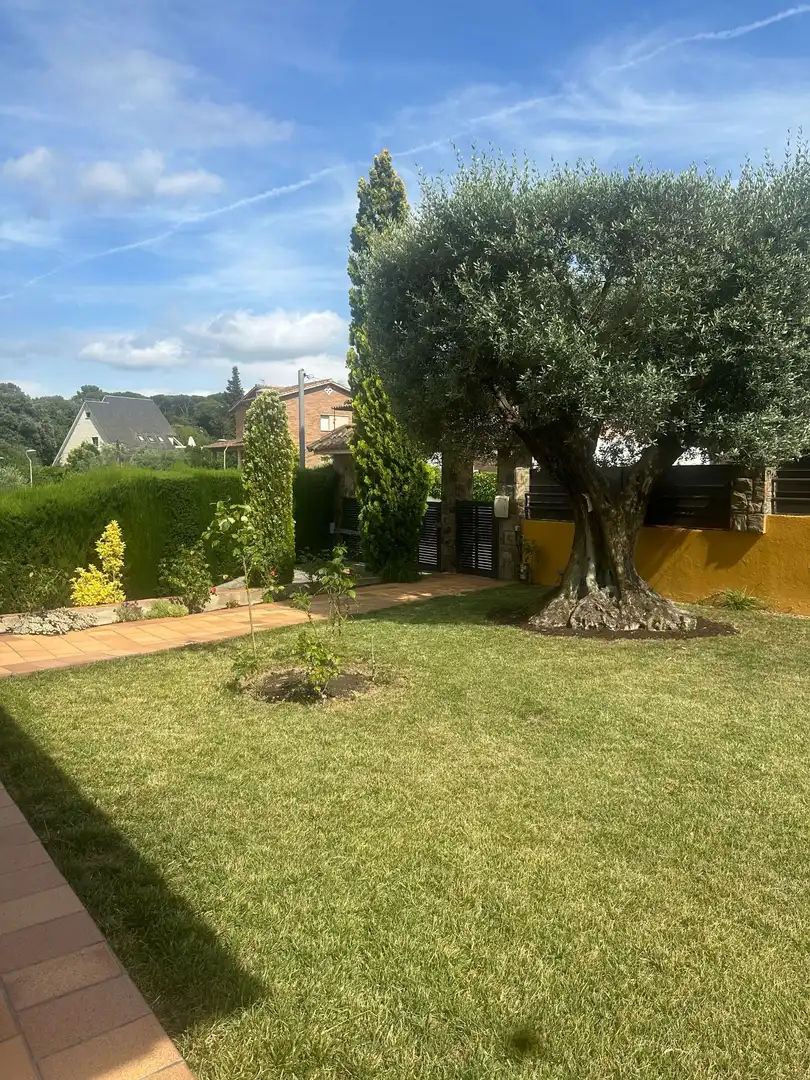 Jardín de Casa o chalet en venta en Montornès del Vallès con Aire acondicionado, Calefacción y Jardín privado