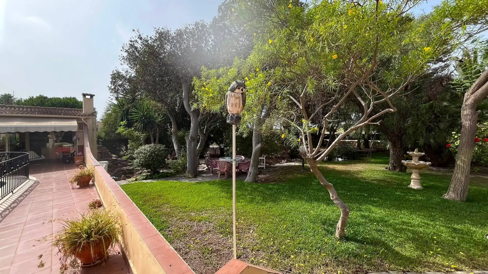 Jardín de Casa o chalet en venta en Elche / Elx con Aire acondicionado, Calefacción y Jardín privado