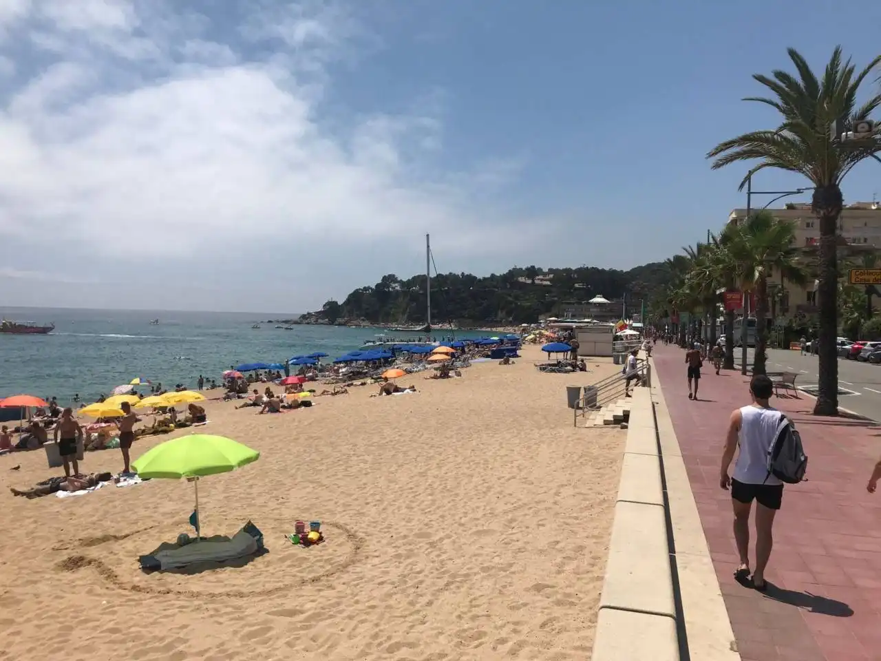Terreny rústic en venda a Calle Fonoll 19, imagen 6