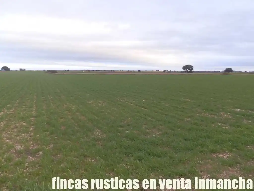Terreno rústico en venta en Daimiel, imagen 6