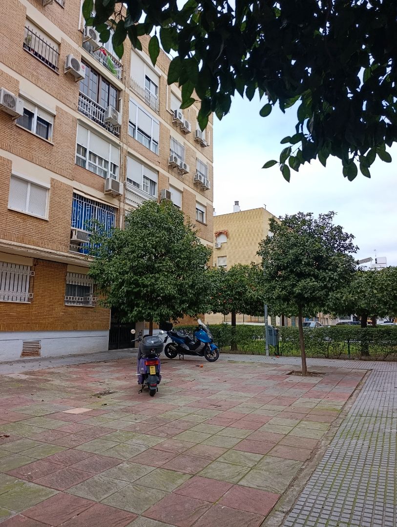 Exterior view of Flat for sale in  Sevilla Capital  with Furnished and Balcony