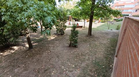 Photo 2 of Attic to rent in Ca n'Alzamora, Barcelona