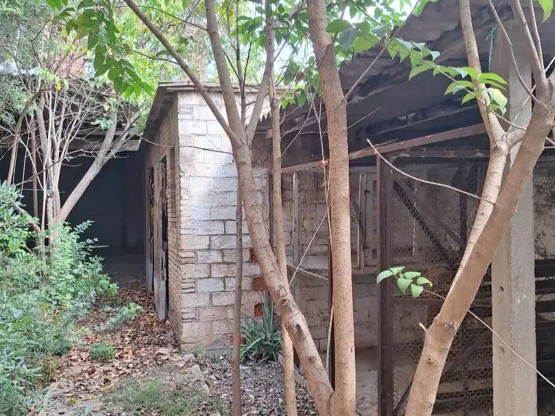 Haus mit Garten zum Verkauf in sant josep 76, imagen 56