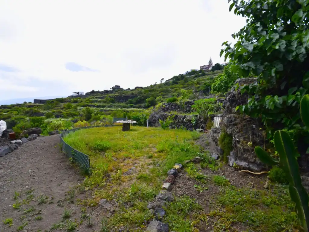 Finca rústica en venda en Garachico