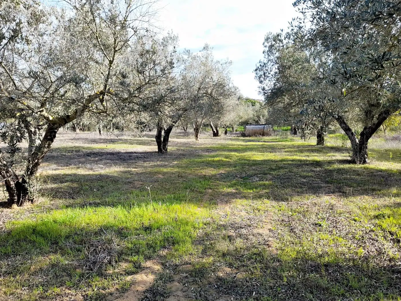 Terreni e lotti in vendita a El Retiro - Parque Atlántico - Ronda este, imagen 5