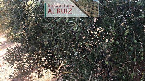 Imagen 3 del anuncio