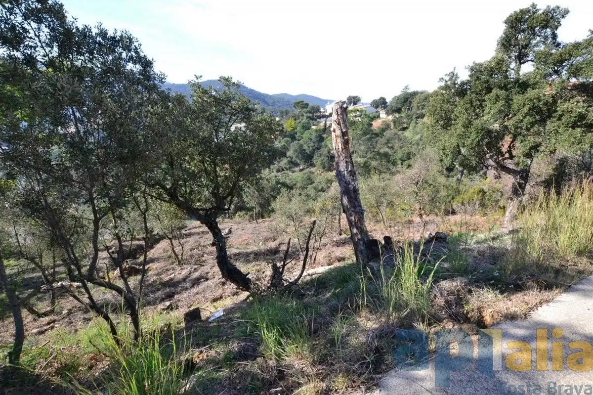 Residential land for sale in Carrer Alzina, imagen 4