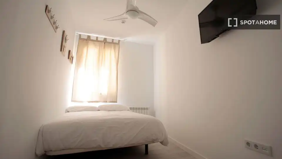 Room in Sol