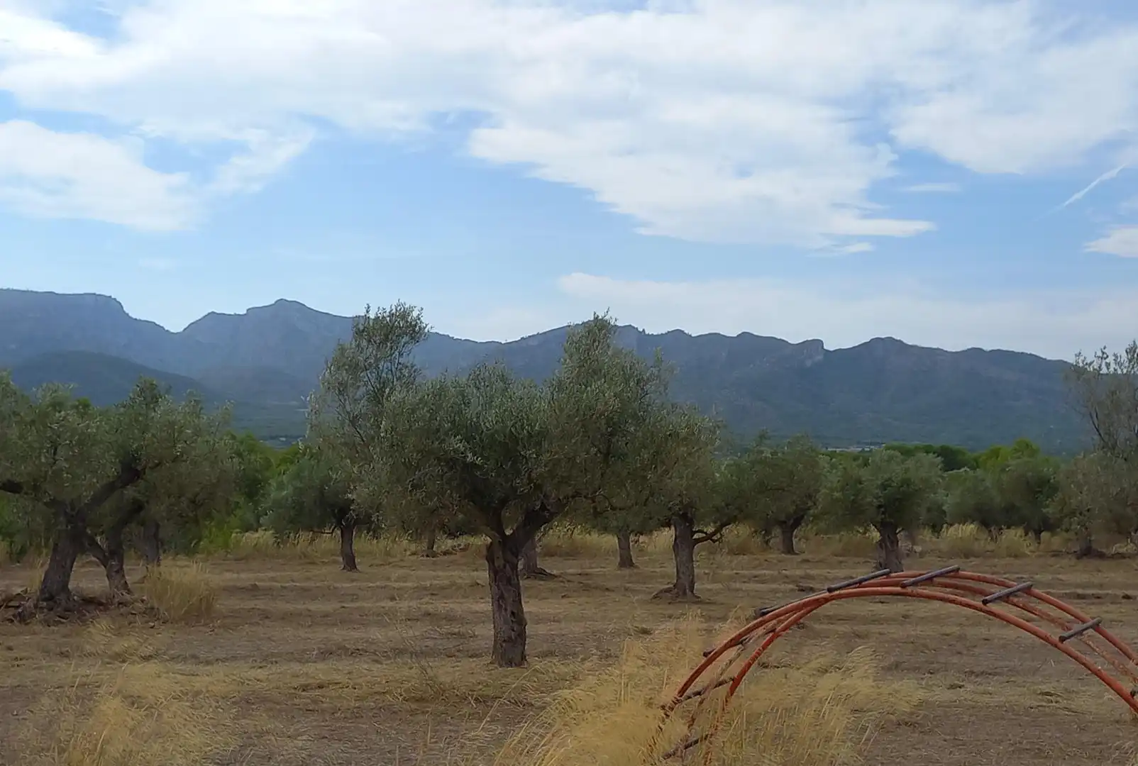 Finca rústica en venta en Tivissa